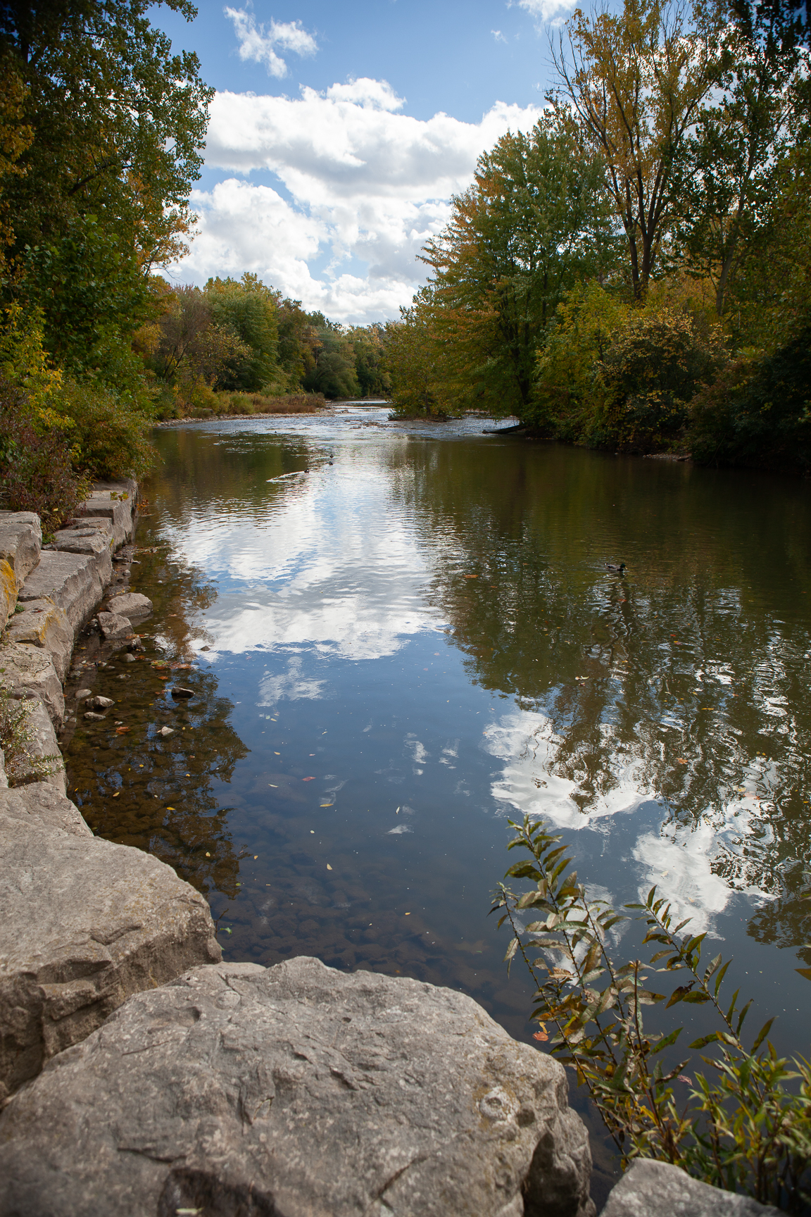Antler River Rally: October Cleanup