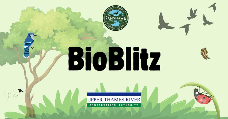 BioBlitz at Fanshawe CA