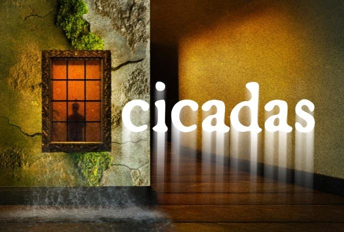 Cicadas