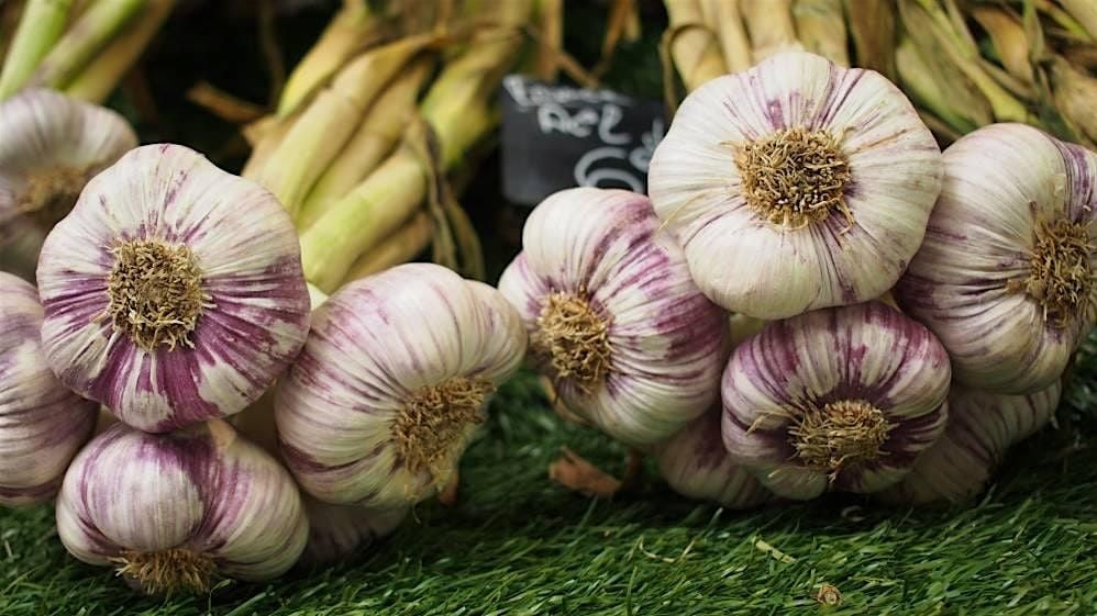 Garlic Obsession