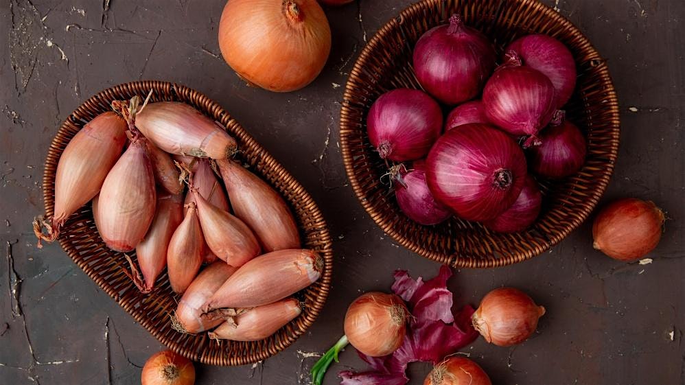 No More Tears: Onions Explained