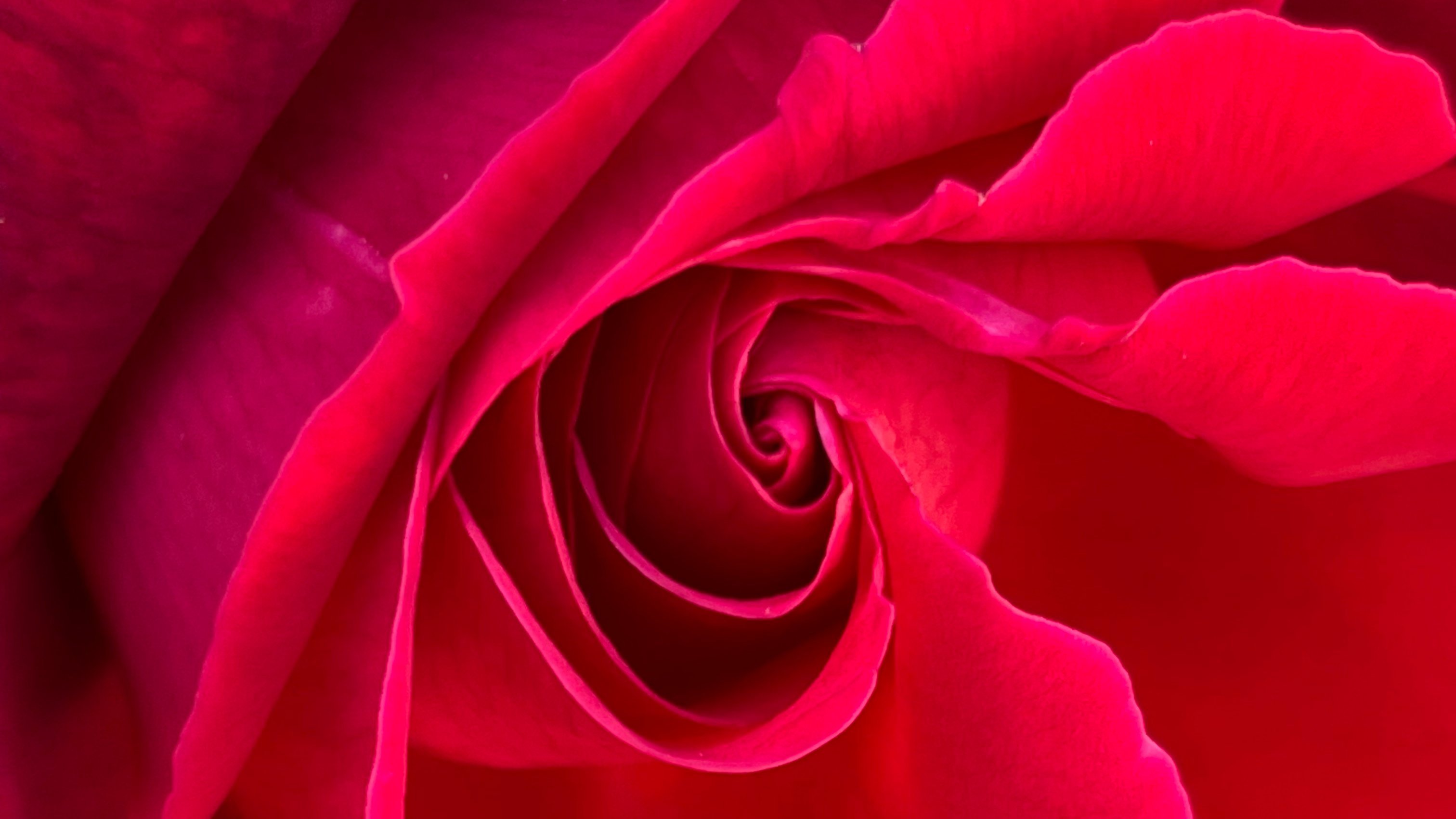 Open Rosicrucian Convocation by Invitation