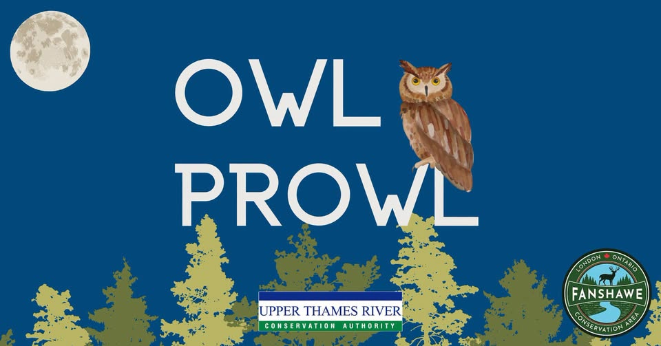 Owl Prowl at Fanshawe CA