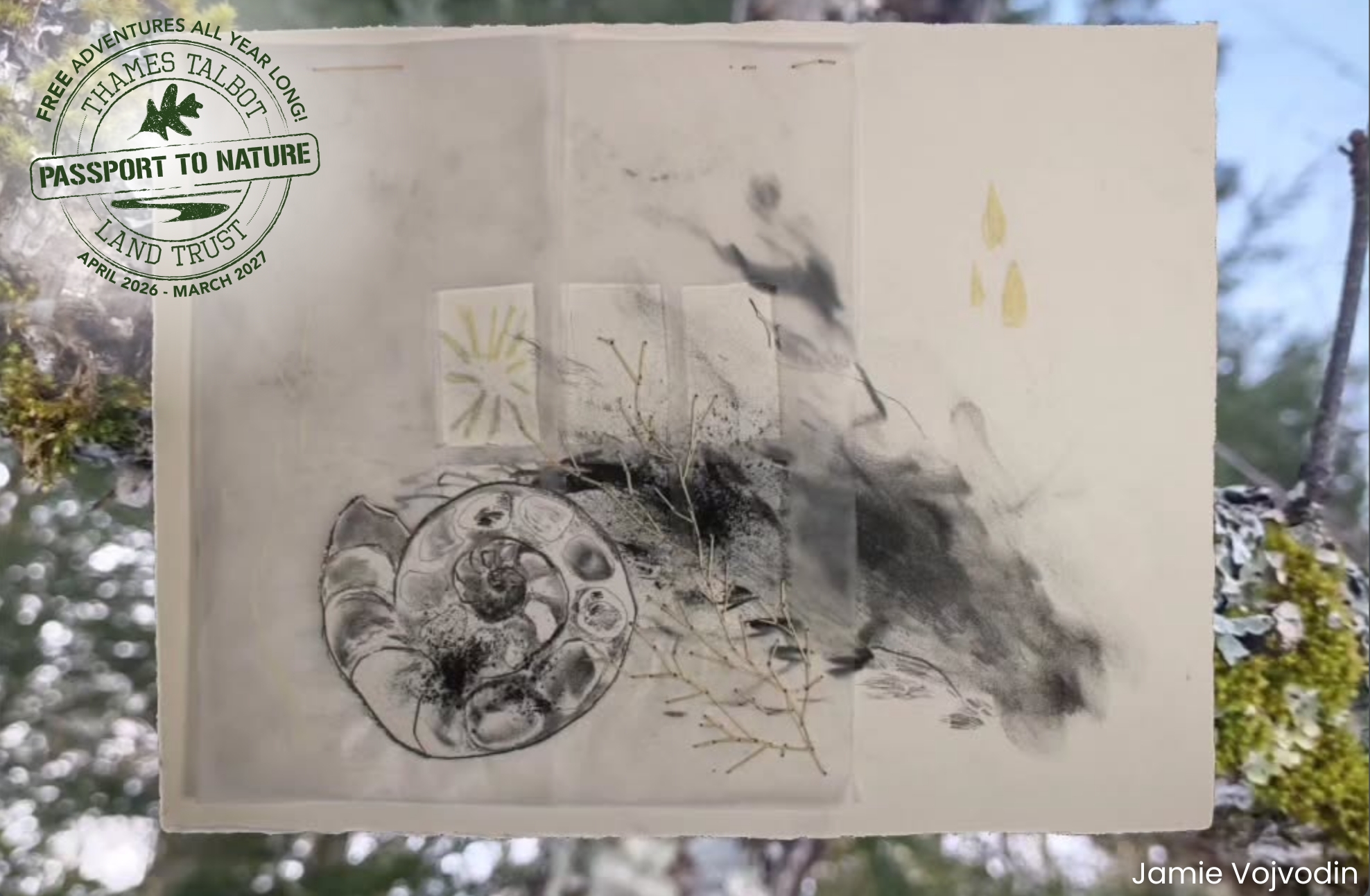 Passport to Nature: Creative Inquiry