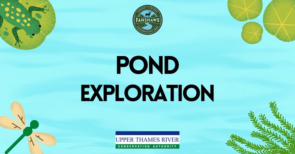 Pond Exploration