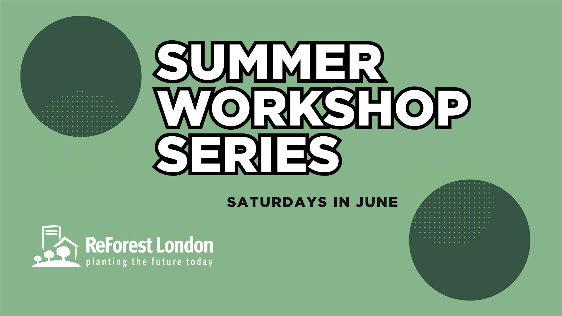Summer Workshop Series