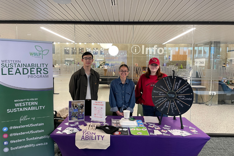 Sustainability Fair