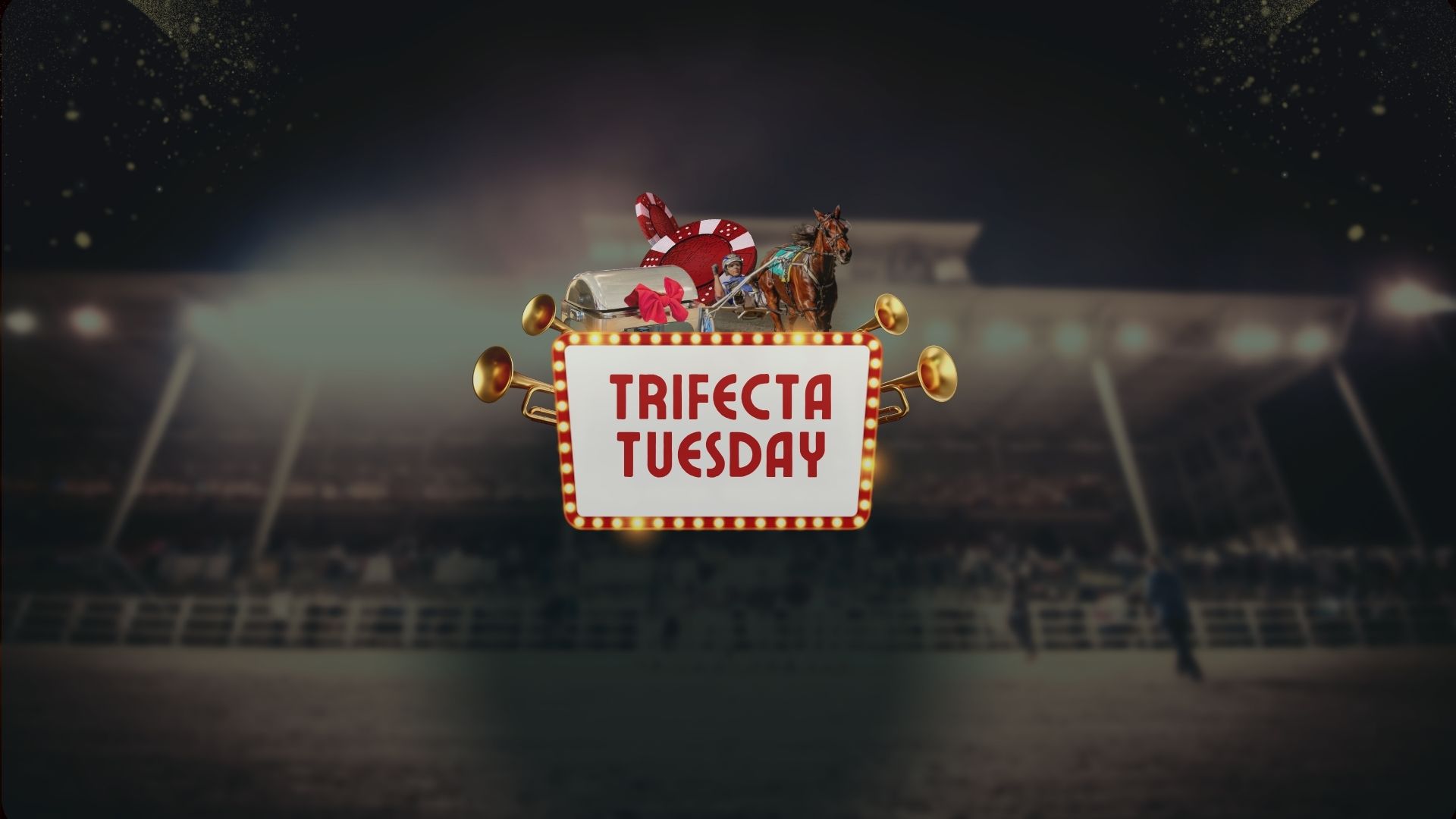 Trifecta Tuesday: Buffet, Racing & Vouchers