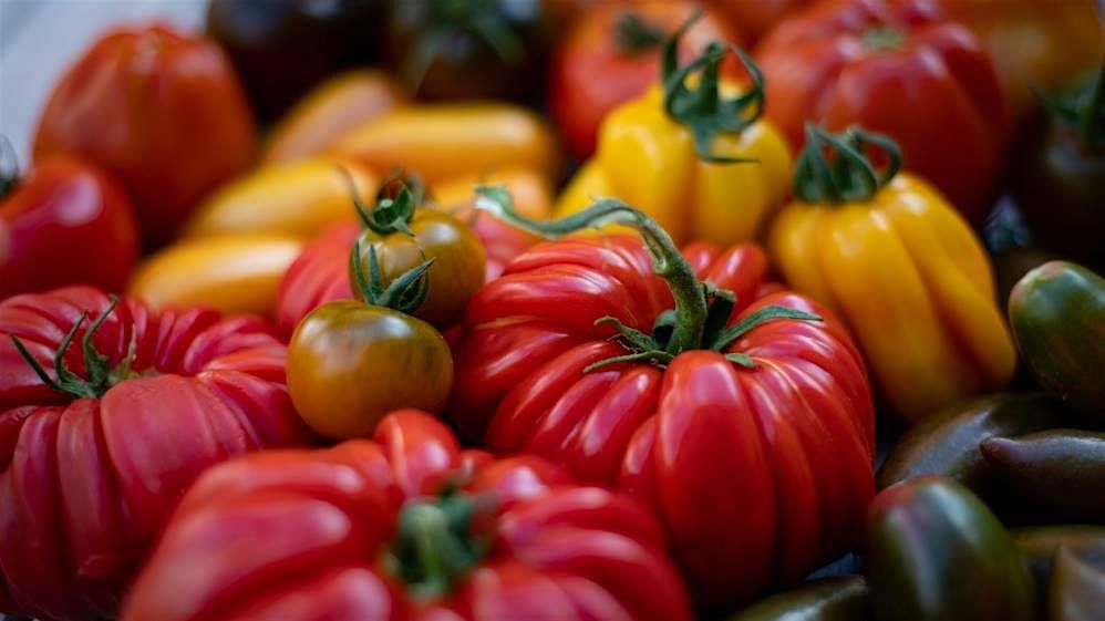 You Say Tomato!